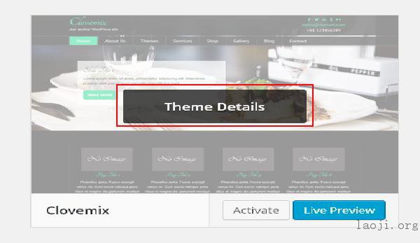 WordPress Theme Management